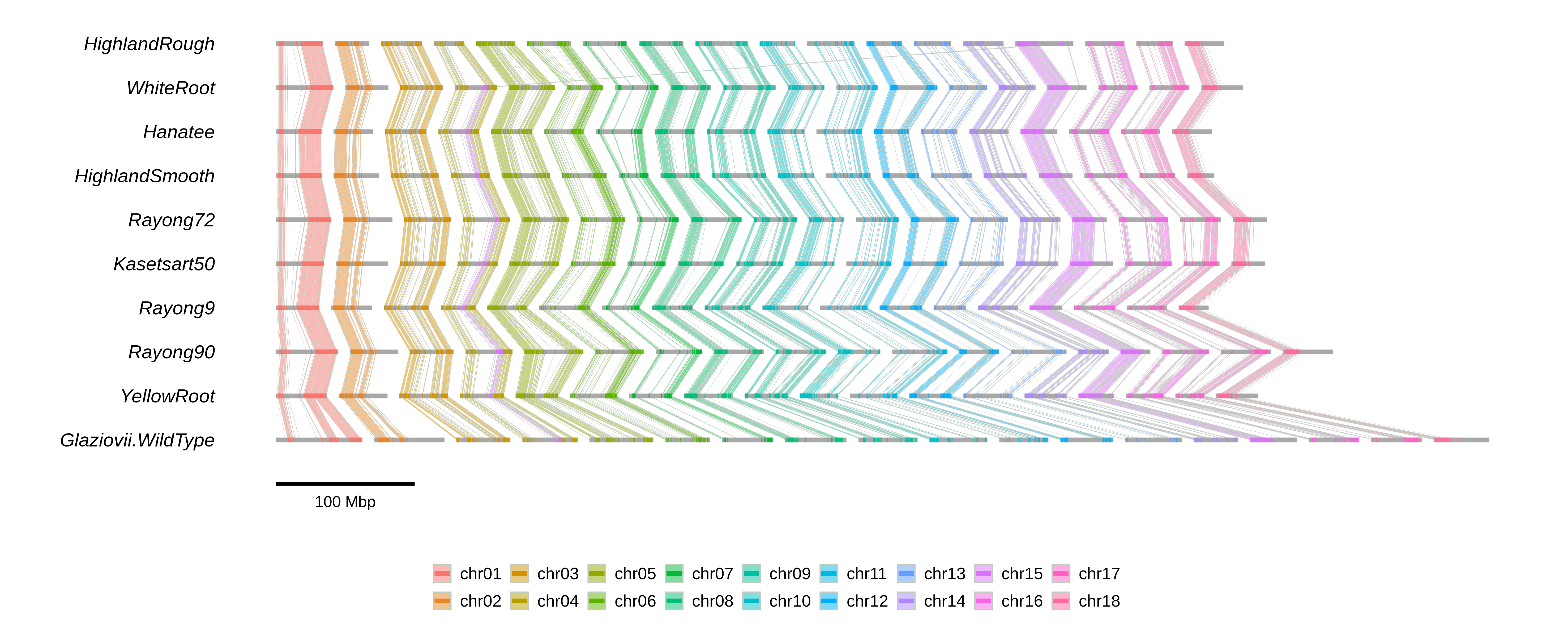 Cassava synteny ribbon plot